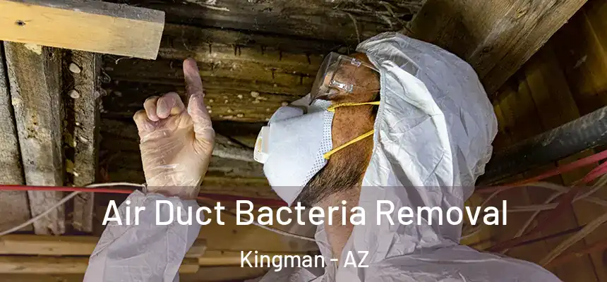  Air Duct Bacteria Removal Kingman - AZ