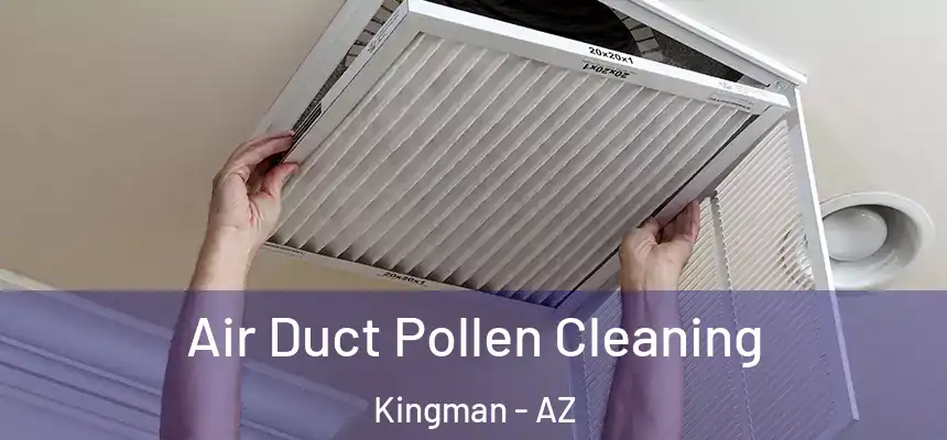  Air Duct Pollen Cleaning Kingman - AZ