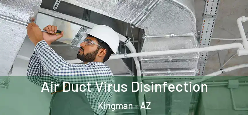  Air Duct Virus Disinfection Kingman - AZ