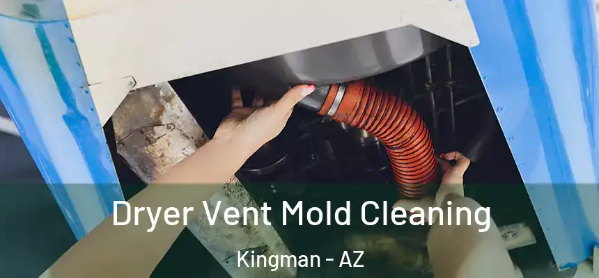  Dryer Vent Mold Cleaning Kingman - AZ