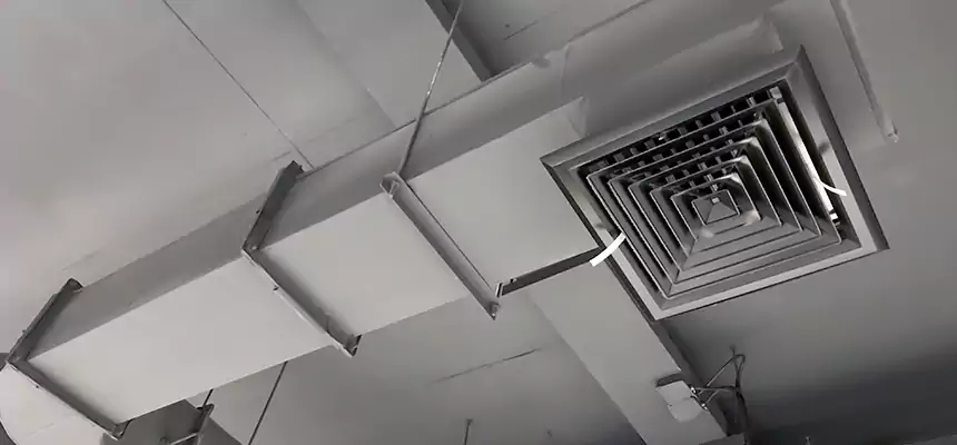 Our Pest Removal From Ducts Services in Kingman, AZ