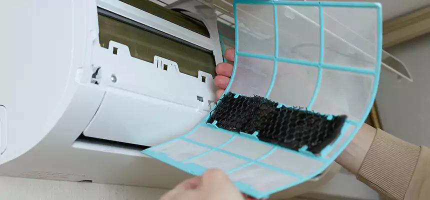 Gentle Ductwork Odor-Control Pet Dander Duct Cleaning in Kingman, AZ