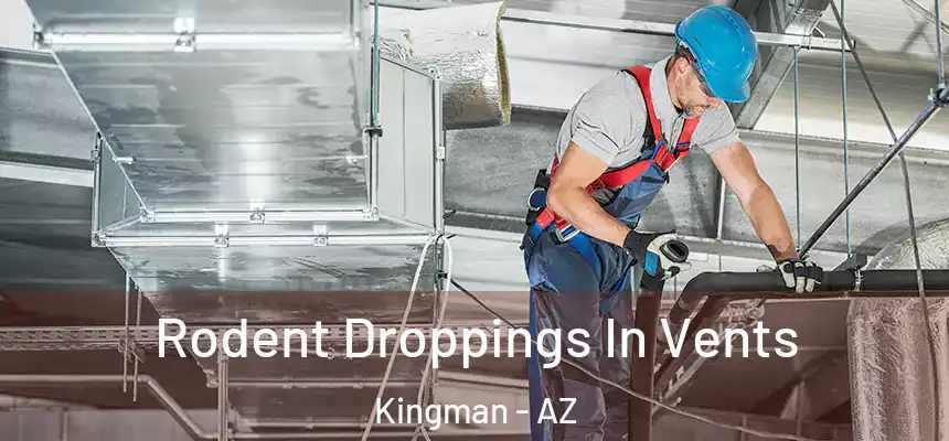  Rodent Droppings In Vents Kingman - AZ