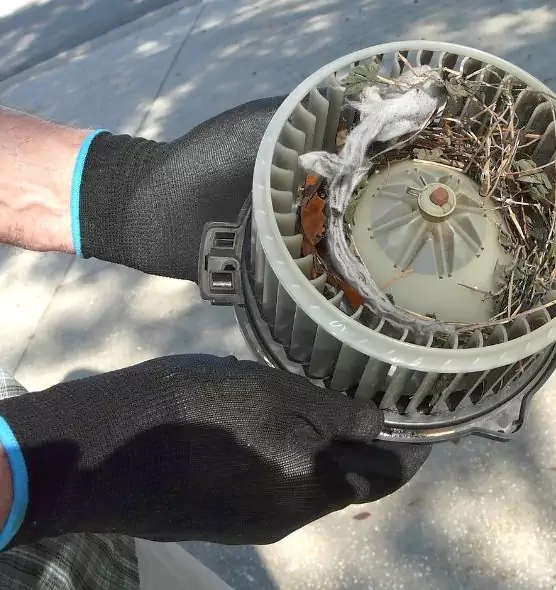 About Air Duct Rat Removal in Kingman, AZ