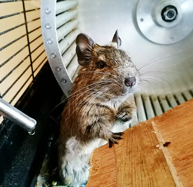 Why Homeowners & Businesses Trust Us Kingman, AZ