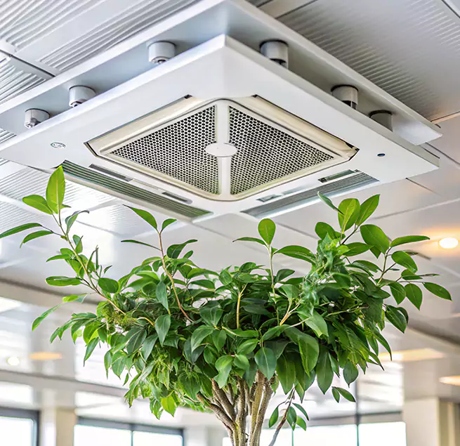 Why Homeowners & Businesses Trust Us in Kingman, AZ?